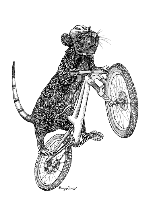 Bike Rat