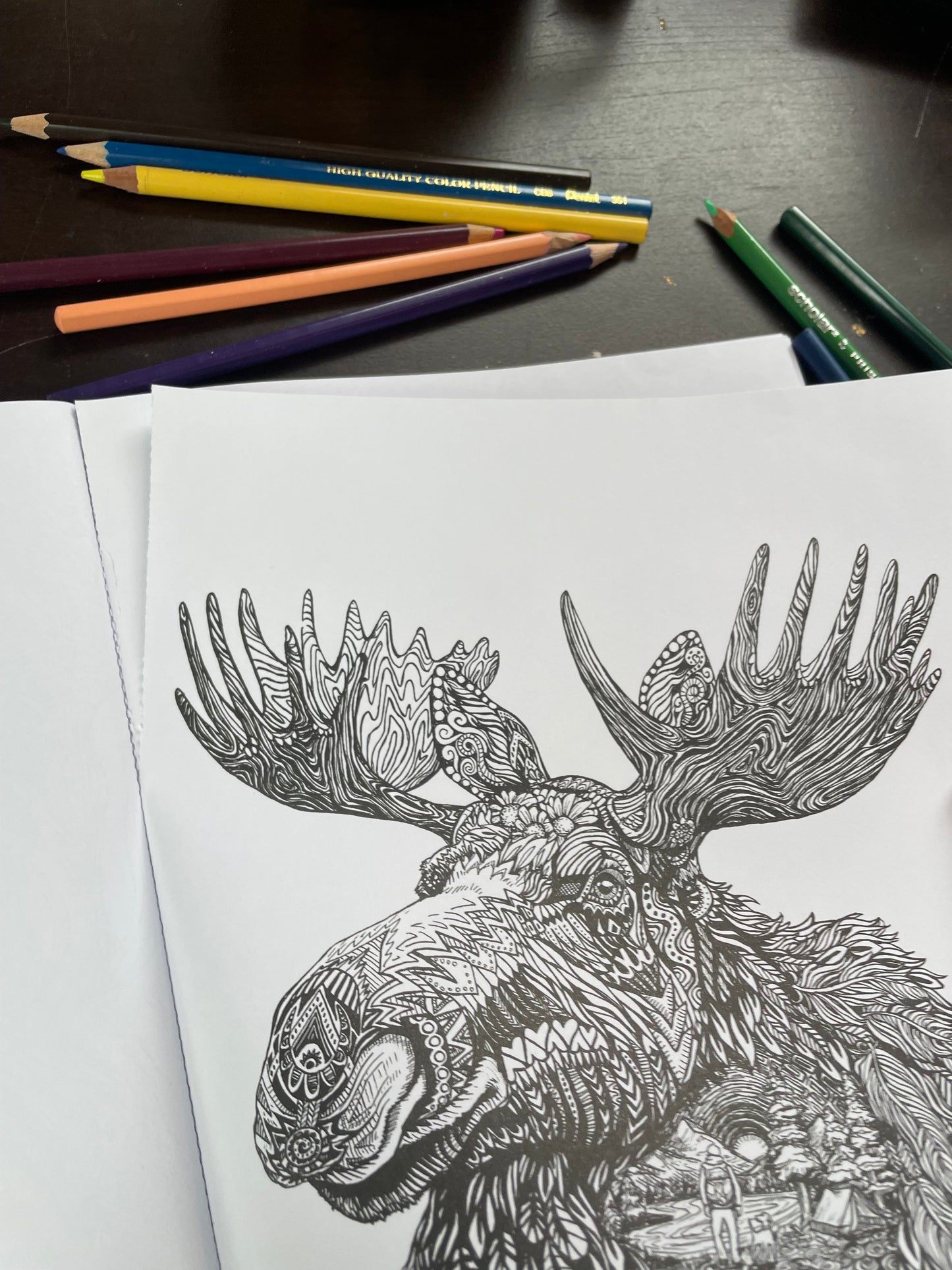 Coloring Book