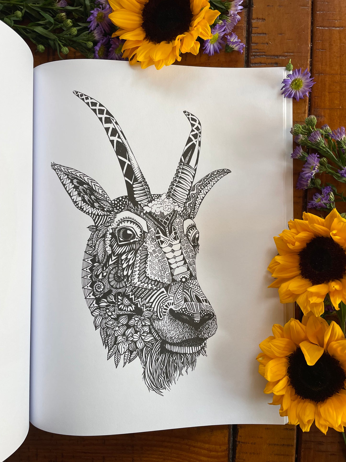 Coloring Book