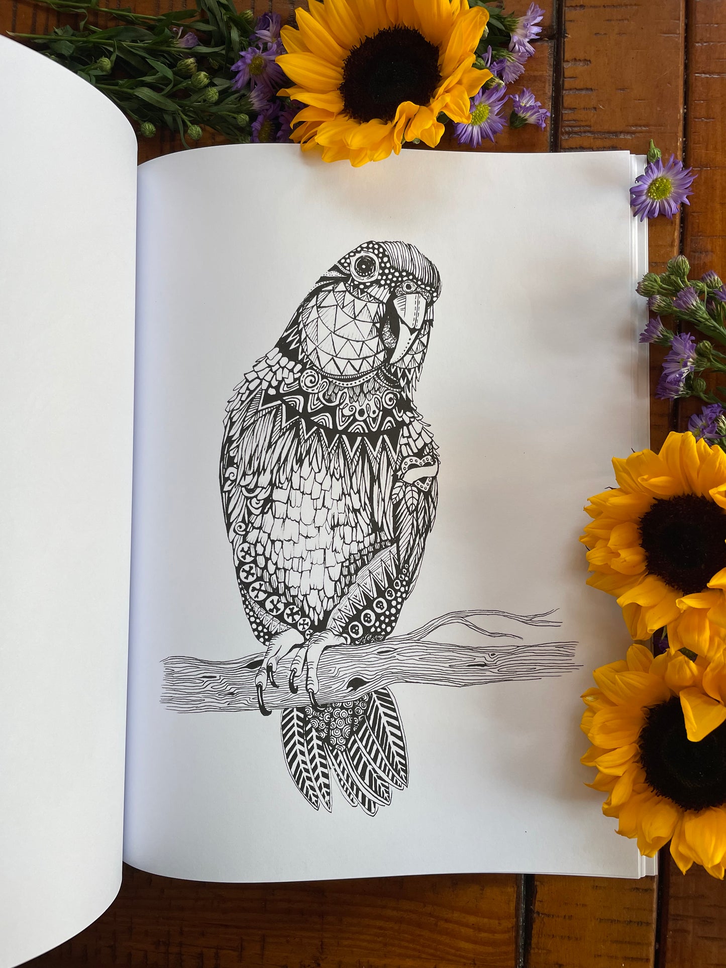 Coloring Book