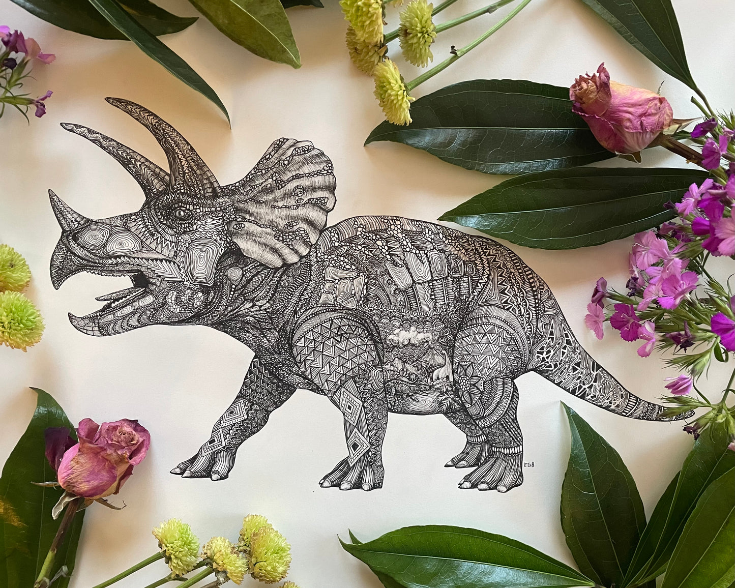 Triceratops
