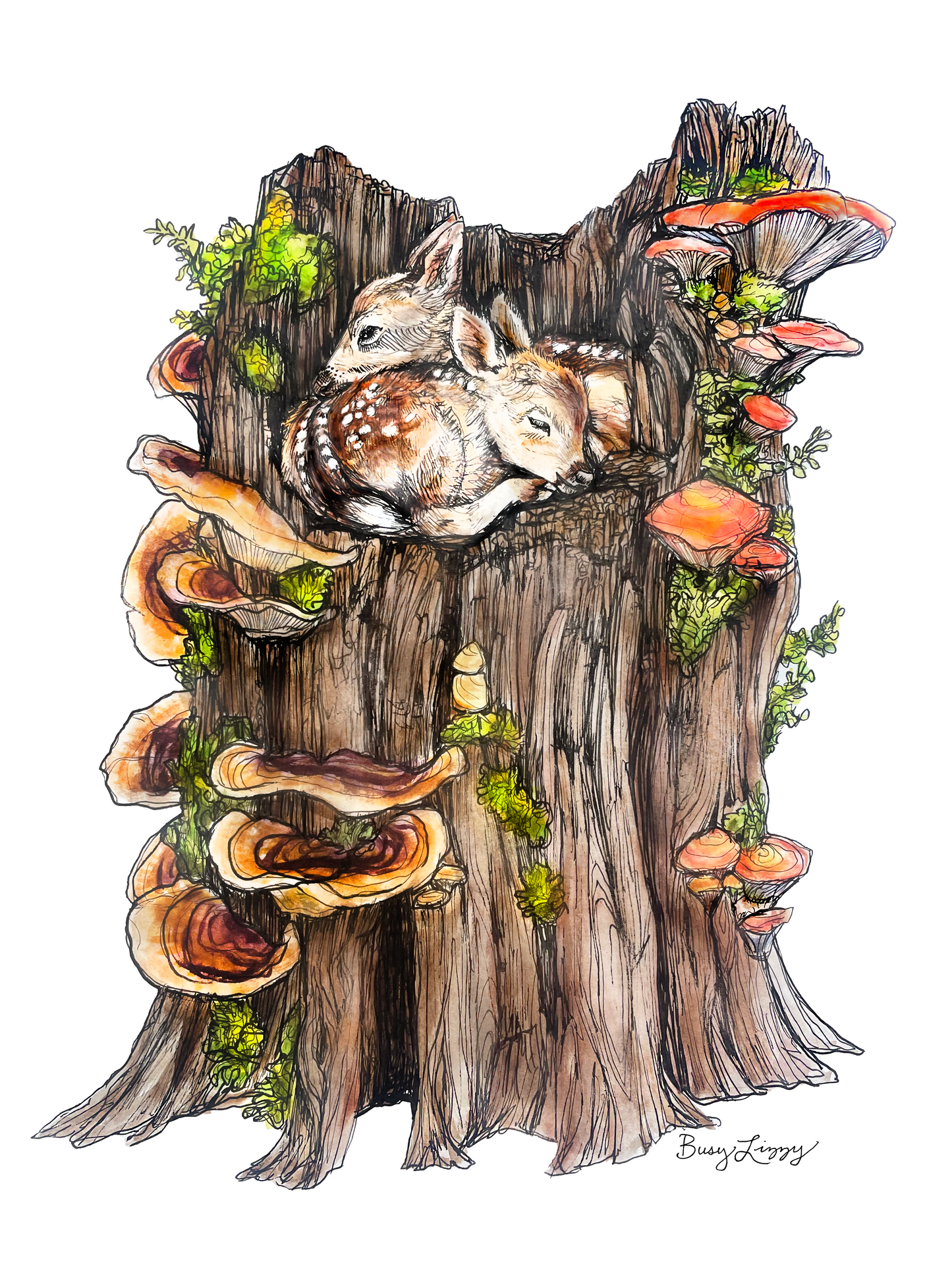Stump Nap