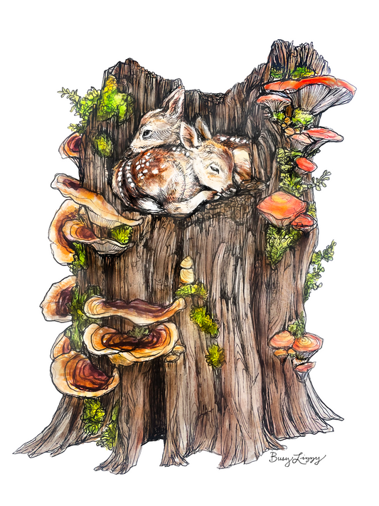 Stump Nap