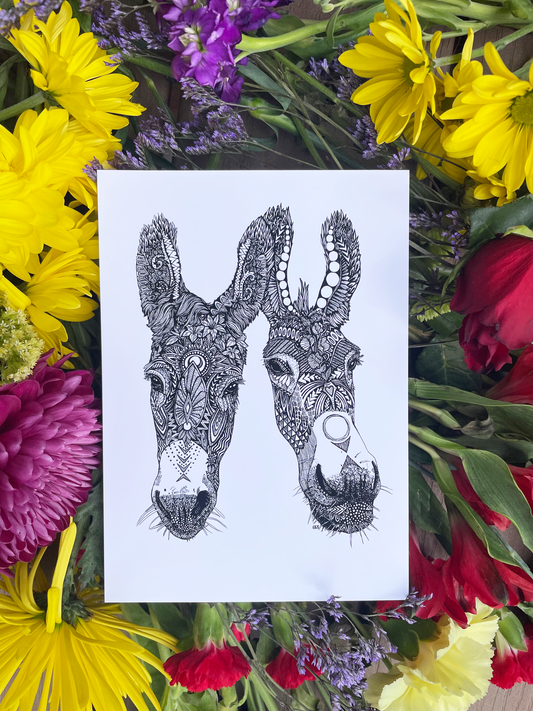 Donkeys