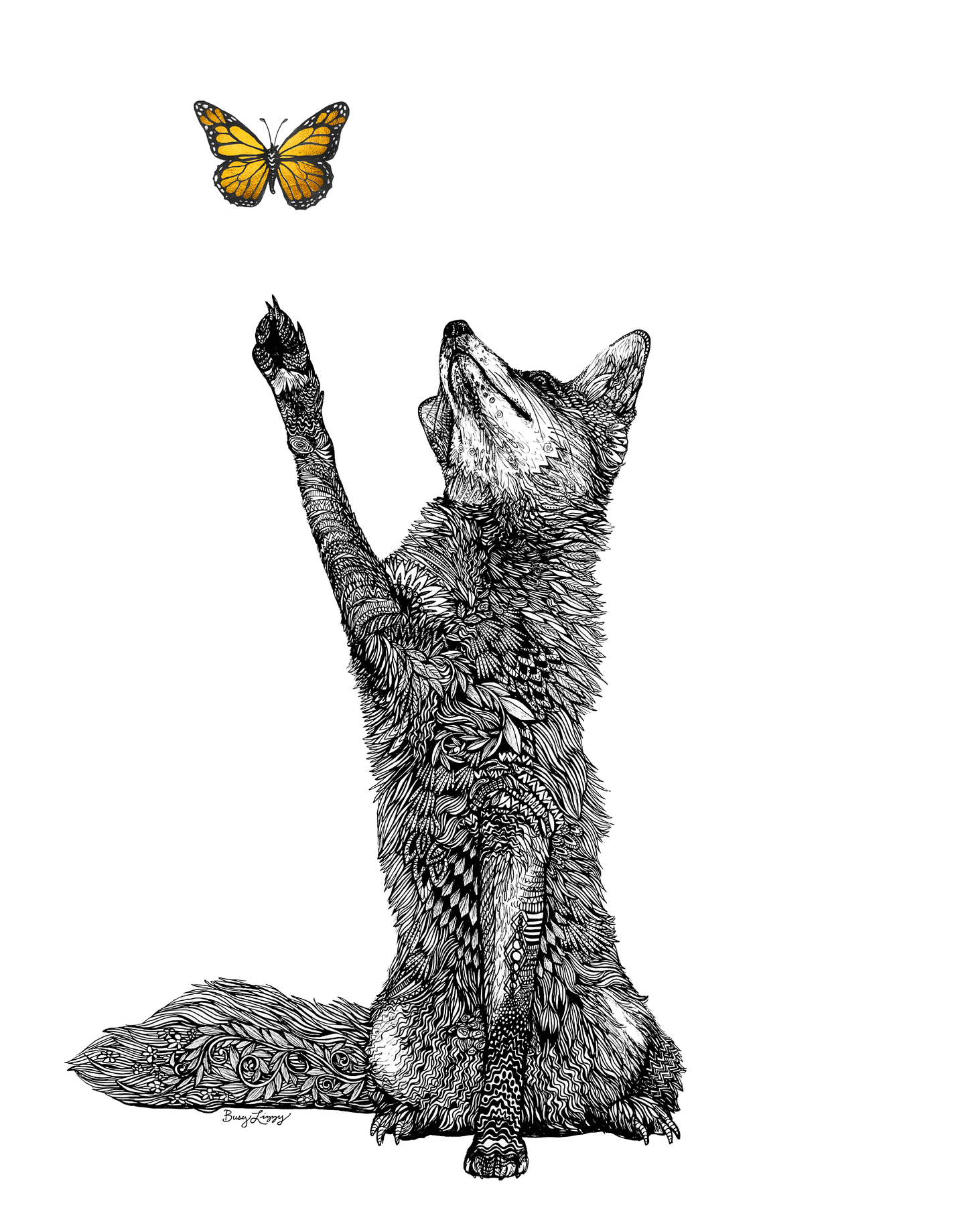 Fox's Dream