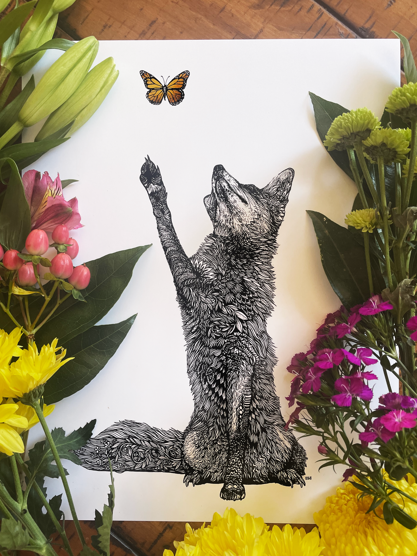 Fox's Dream