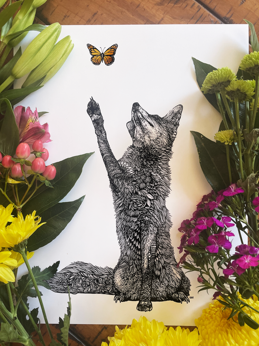 Fox's Dream
