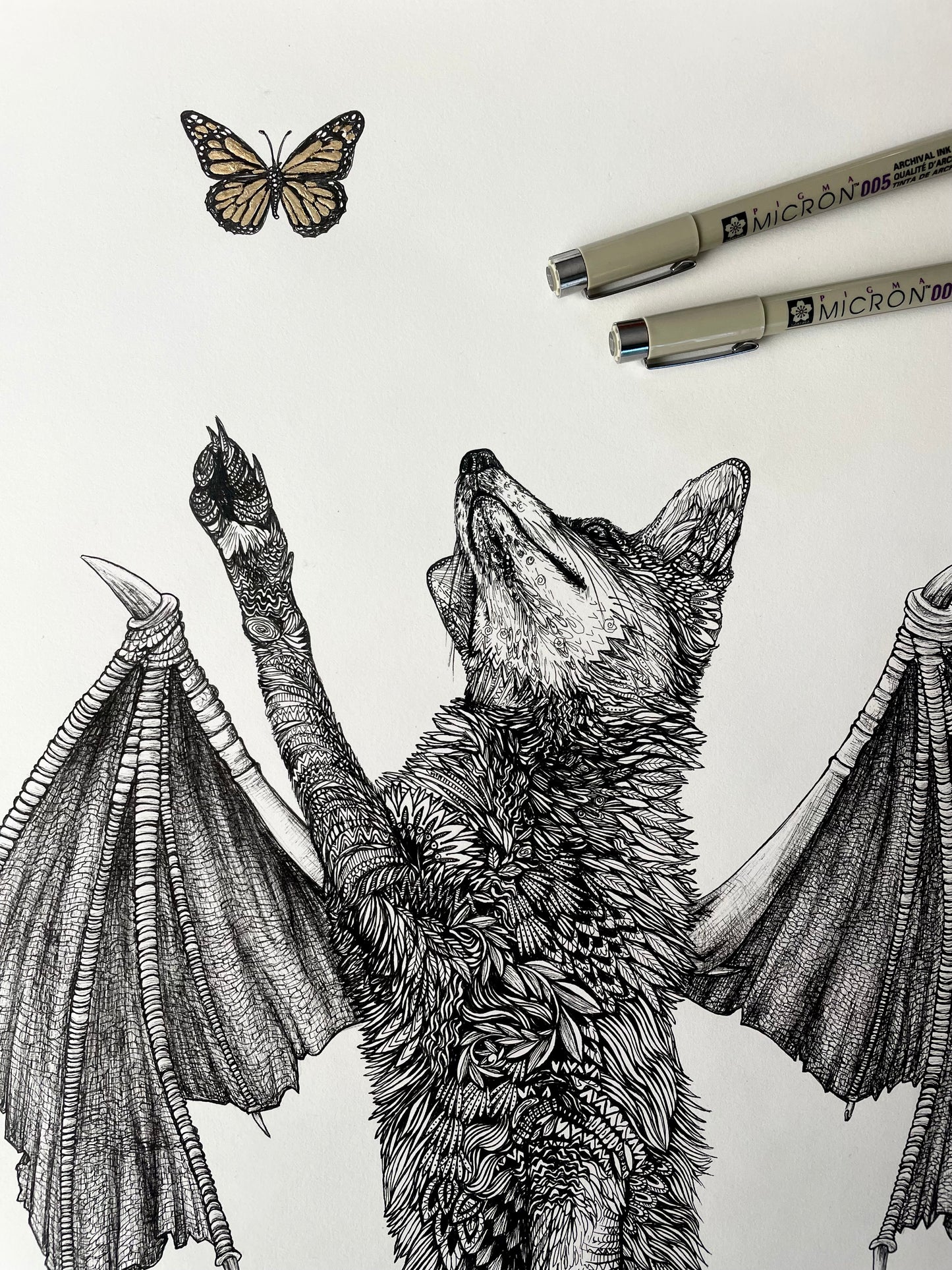 Fox's Dream