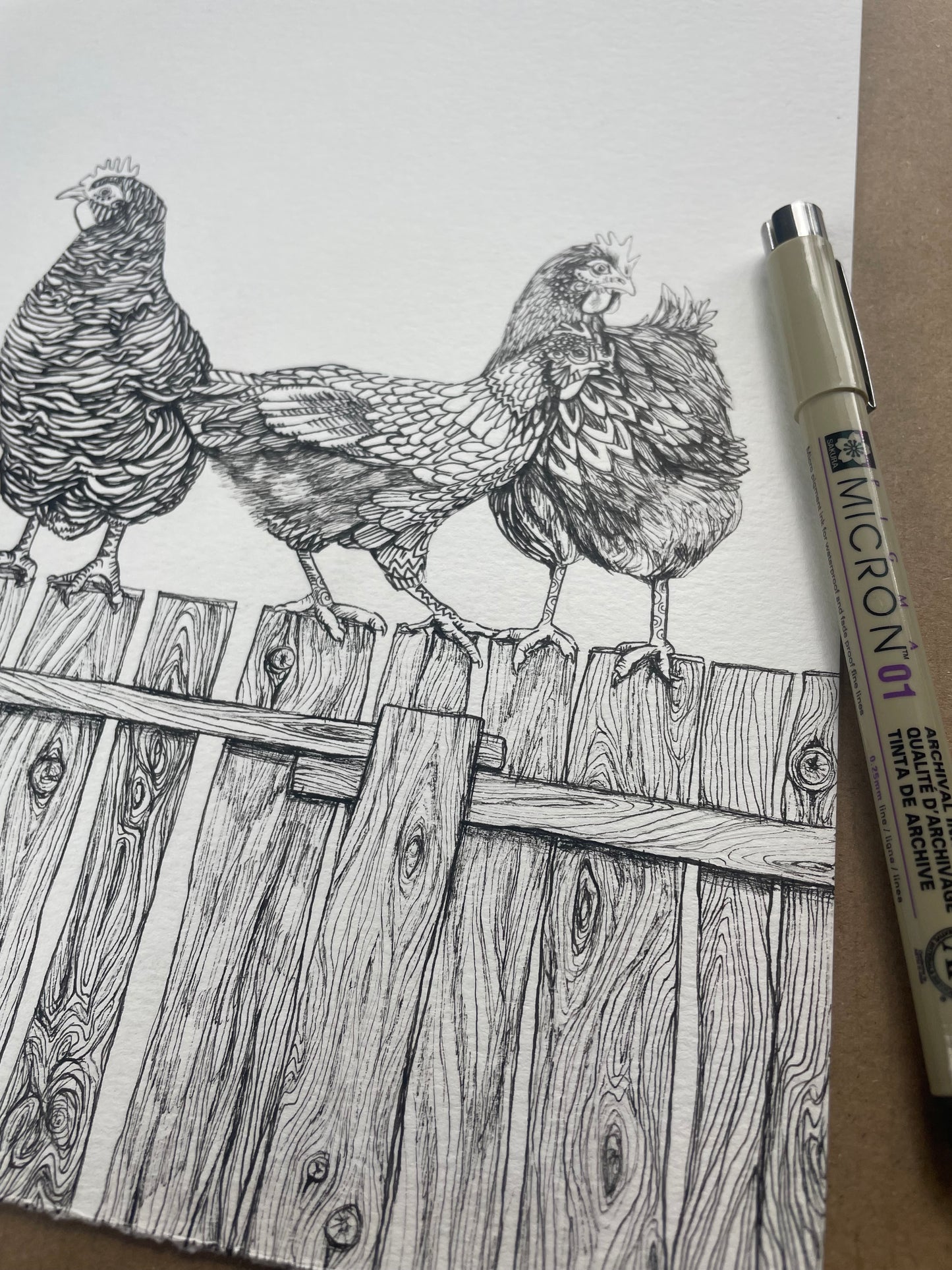 On the Fence