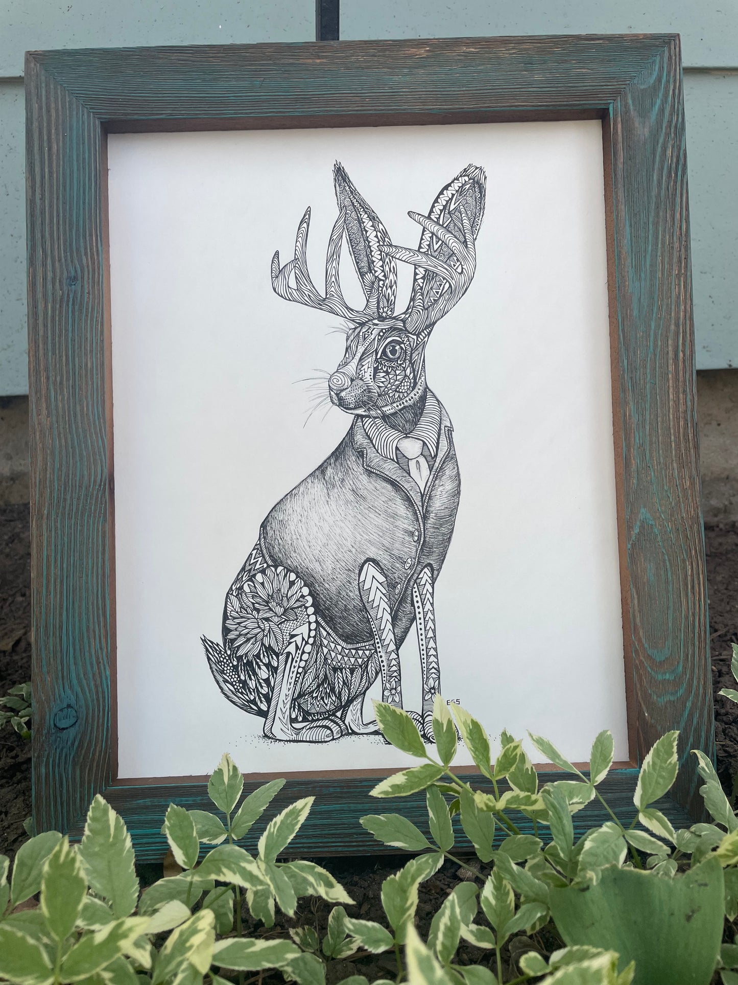 Jackalope