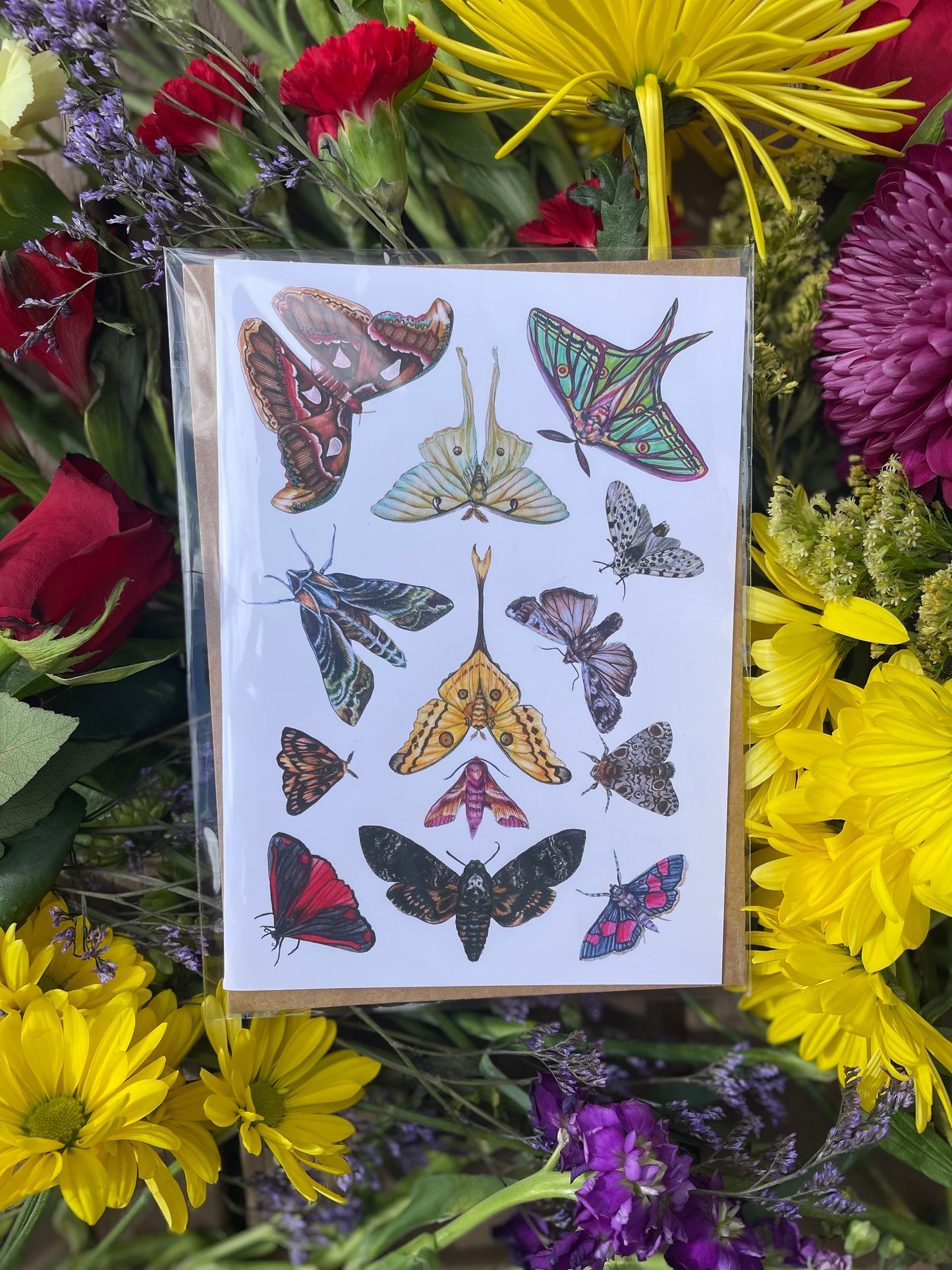 Custom Pack - 6 Greeting Cards