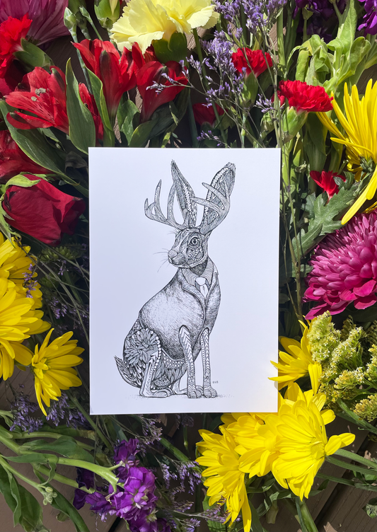 Jackalope