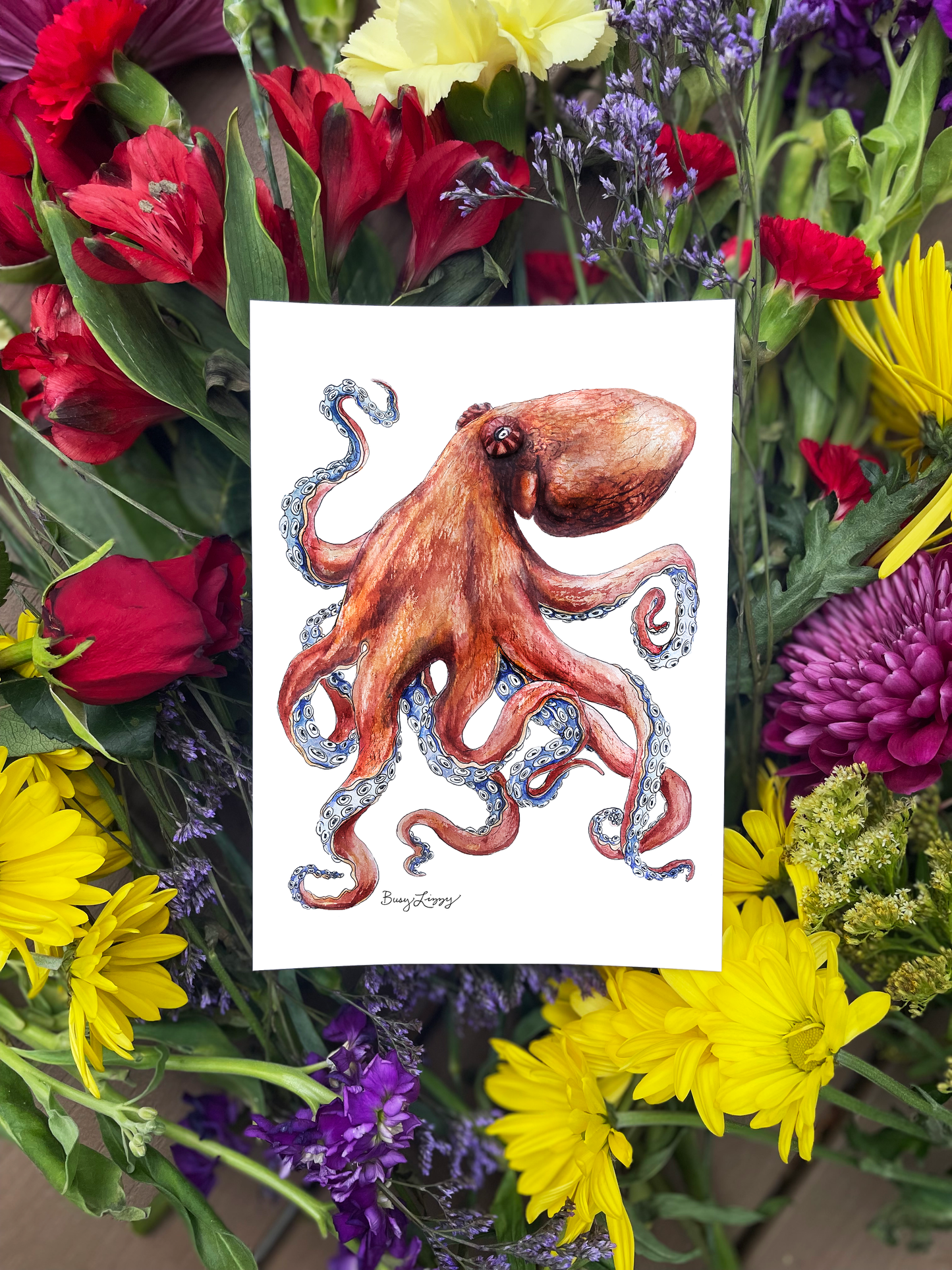 Octopus