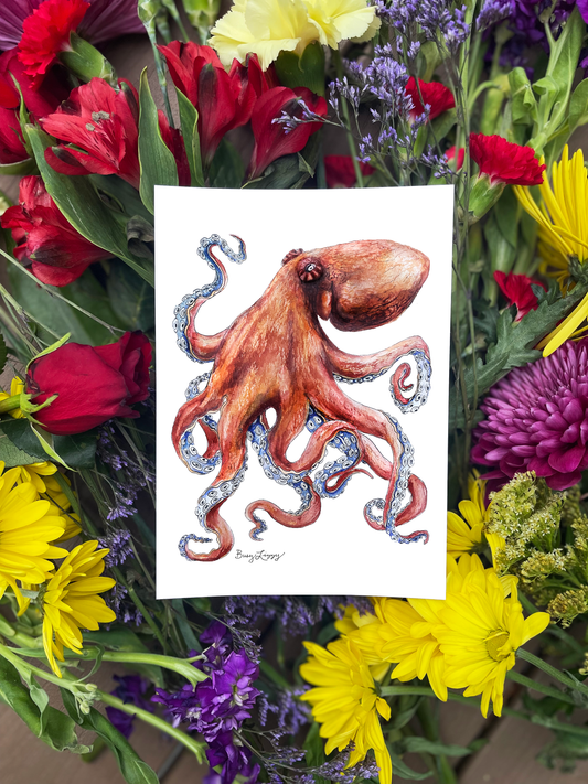 Octopus
