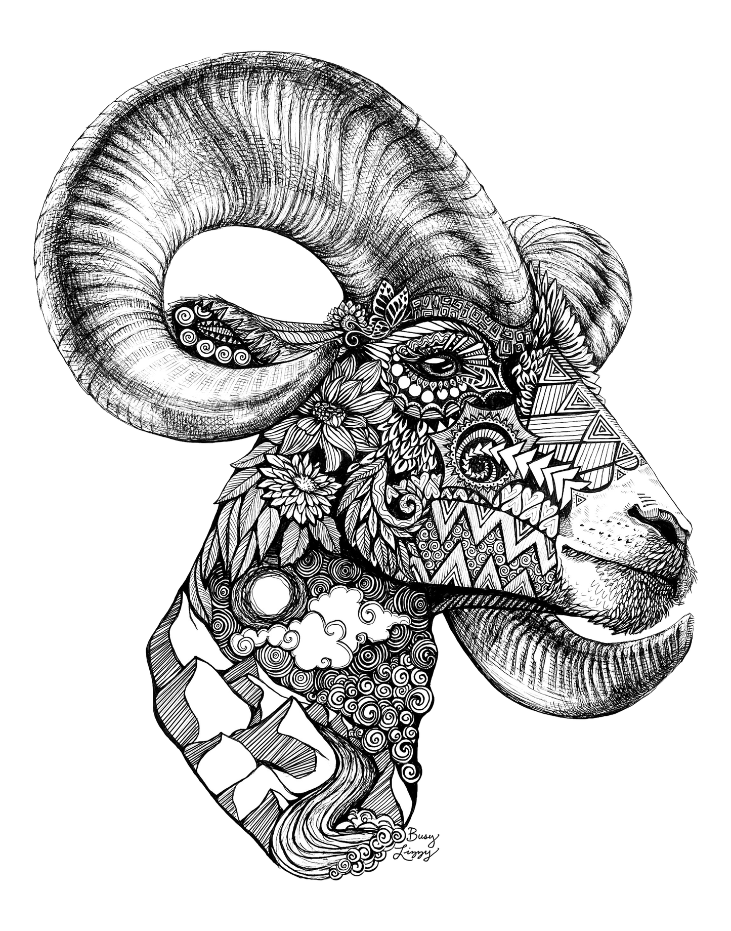 Ram