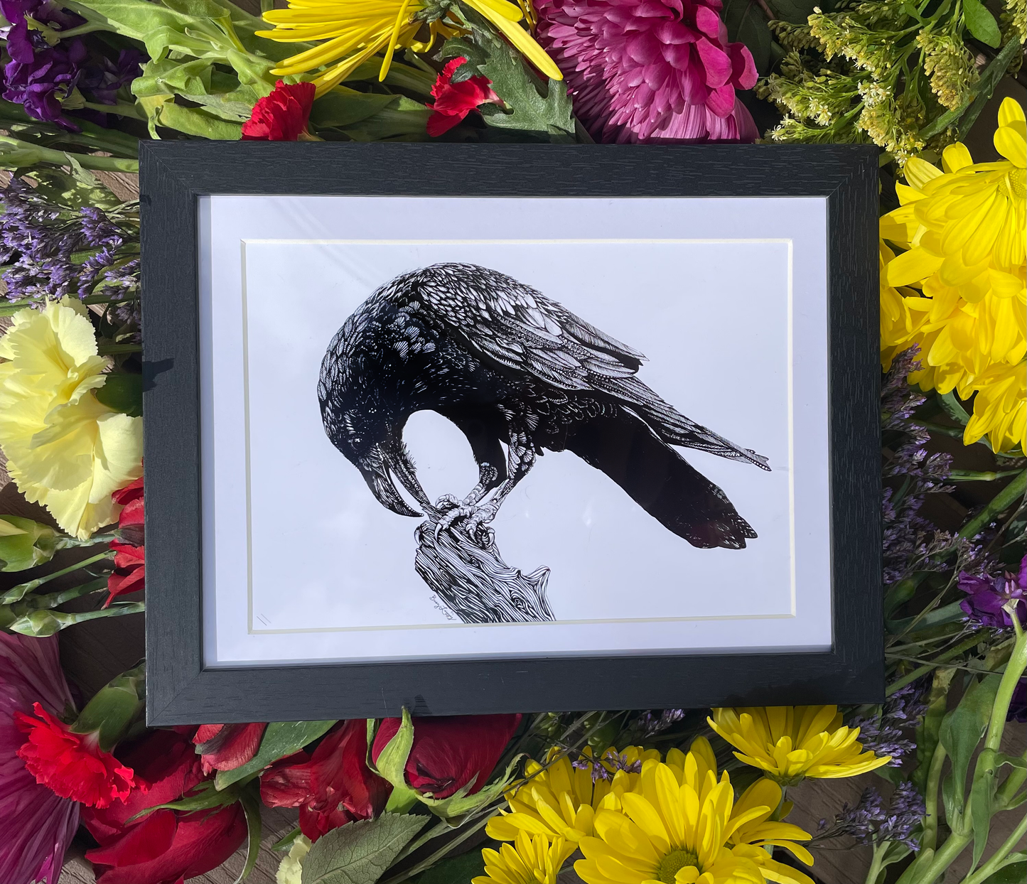 Raven