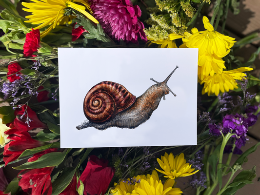 Snailed It