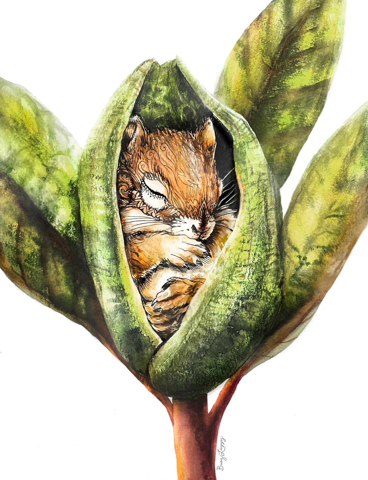 Squirrel Pod
