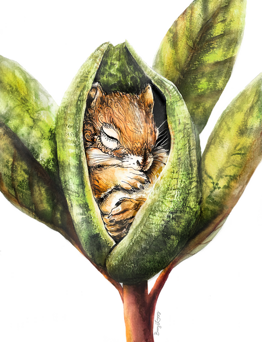 Squirrel Pod