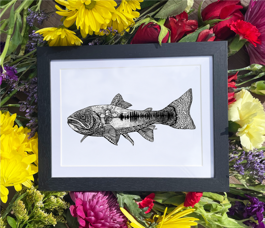Westslope Trout