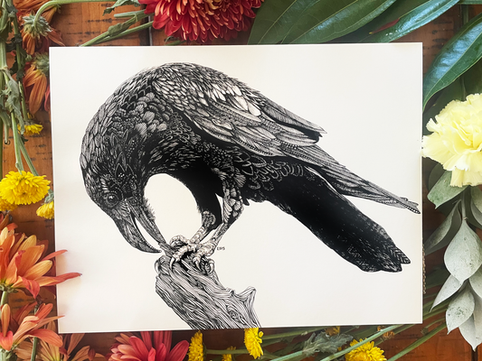 Raven